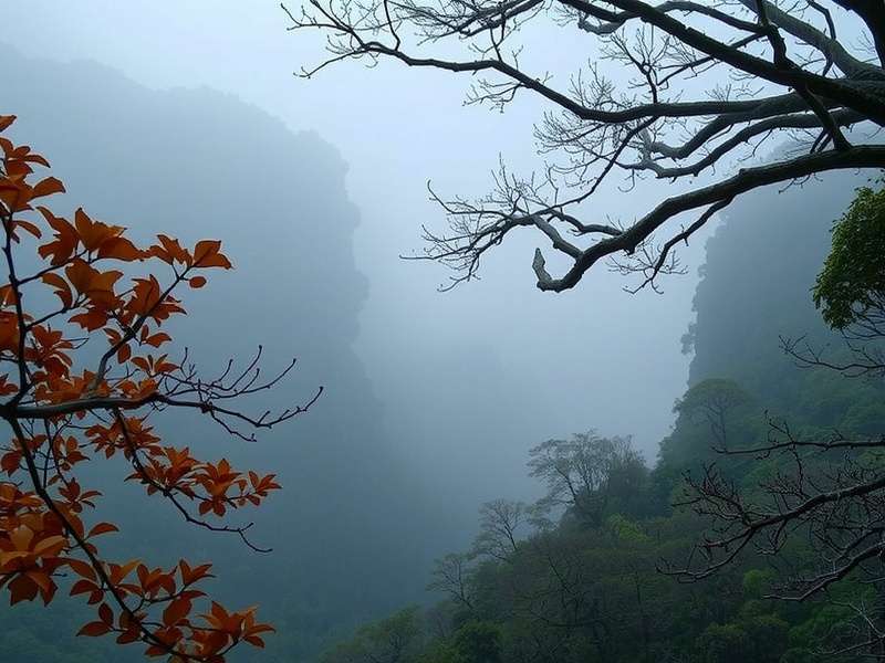 张云峰 - 创始人兼创意总监